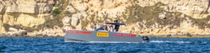 Pardo 38 Luna Rossa Prada Pirelli